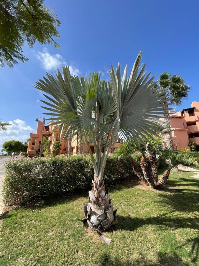 Ferienwohnung Spirit Of Mar Menor Torre-Pacheco Exterior foto